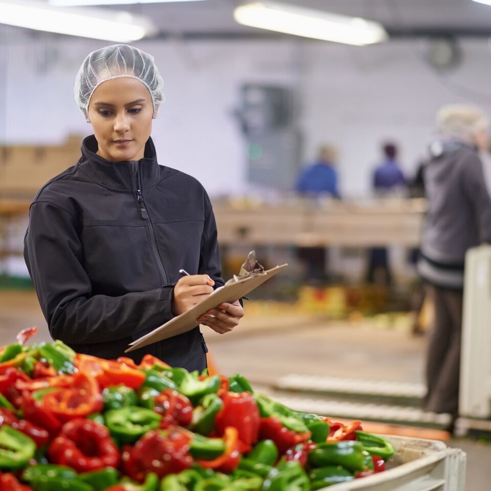 COLOUR-IMAGE_peppers_quality_control_June26