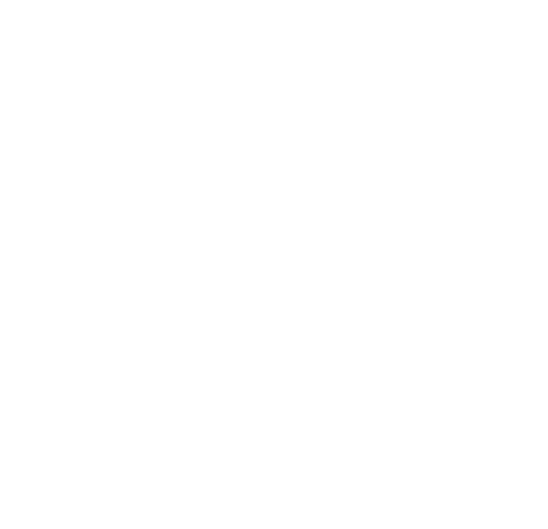 LOGO_precious-homes-500-white