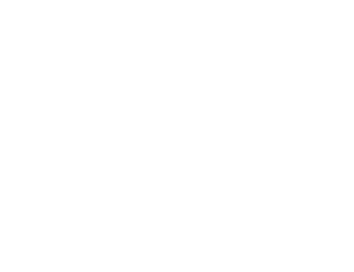 LOGO_state-civil-aviation-agency-of-azerbaijan-500-white