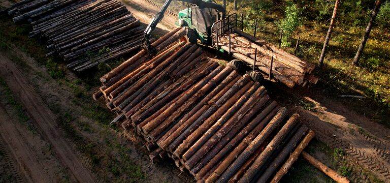 /bynder-asset/bynder:F296306B-F7CE-44D6-AADA482CE3F8720A/Landscape_MD/COLOUR-IMAGE_forestry-logs_june26.jpg?1782731908000