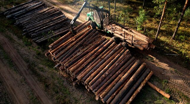 COLOUR-IMAGE_forestry-logs_june26