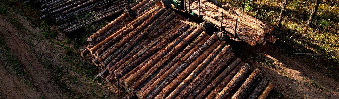COLOUR-IMAGE_forestry-logs_june26