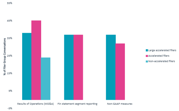 Top Issues by Filer Status — 2025